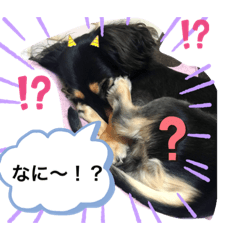 anan's mother_20191007204233