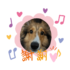 Love Dog_20191007230630