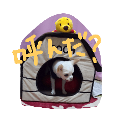 junko_20191007220325