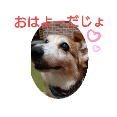 mano_20191007233840