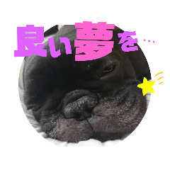reiko_20191007184746
