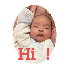 pig baby 蔡董