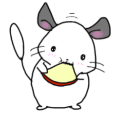 ちんまり チラッと チンチラちゃんスタンプ Line スタンプ Line Store ちんまり チラッと チンチラちゃんスタンプ Line スタンプ Line Store