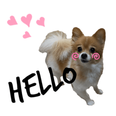 panechan English