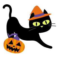 Black Cat-Halloween