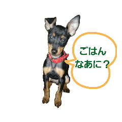 cojicoji_20191007022308