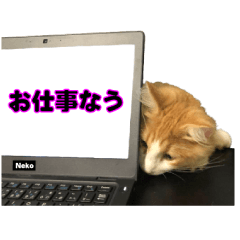 Freddy's daily life Sticker