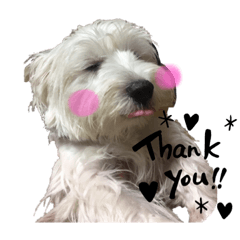 kurumi_20191008120634