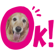 ごるちゃん会話