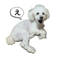 tomomi_20191008162831