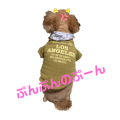 dori_20191008161613