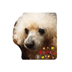 mochi_20191008154630