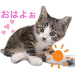 rika_20191008172121