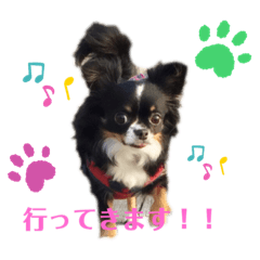 RAN_20191008175127