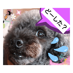 ponta_20191008191155