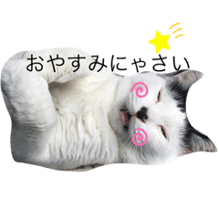 minami_20191008202555