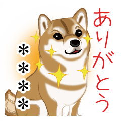Shiba Inu chimaki Sticker