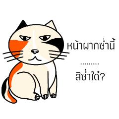 Tangthaicatcartoon