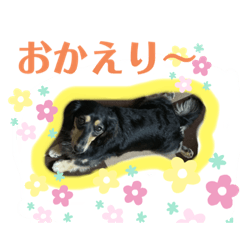 aoi_20191008234203