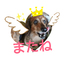 mano_20191008220437