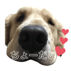 Yukko_20191009000522