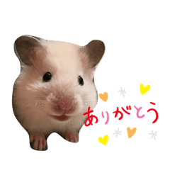 ハムスター Lineクリエイターズスタンプまとめ Stamplist Part 3