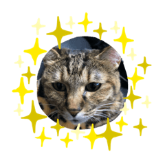 ruby_20191008225232