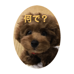 No_20191008225643