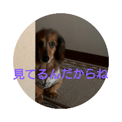 mano_20191009000252