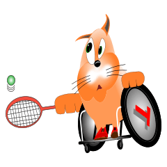 Char's wheelchair sports Vr 2