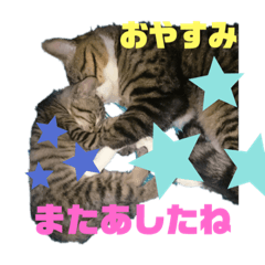 mina_20191009001819