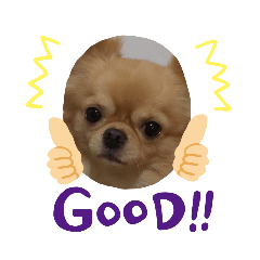 Azu_20191009084602