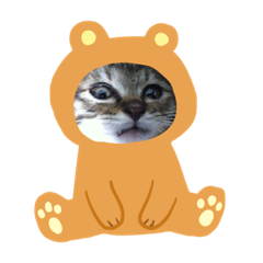 ruby_20191009114526
