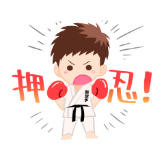 Shin Karate Sticker!!