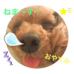 hana_2019100914195