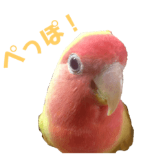 鳥 Lineクリエイターズスタンプまとめ Stamplist Part 5