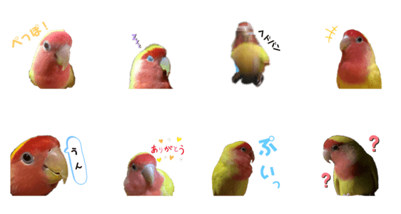 コザクラインコのぺっぽちゃん Lineクリエイターズスタンプ Stamplist コザクラインコのぺっぽちゃん Lineクリエイターズスタンプ Stamplist