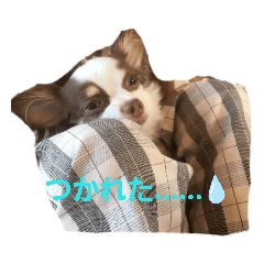 jun_20191009173532