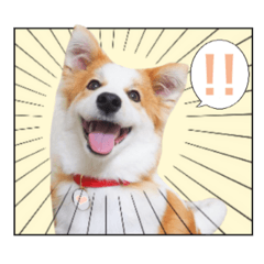 yuyu_20191009200323
