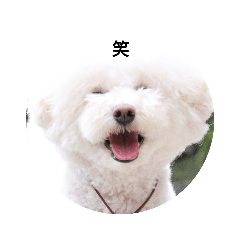 suzu_20191009193919