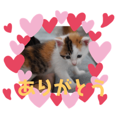 Eiko_20191009205836