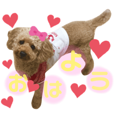 moco_20191009205656