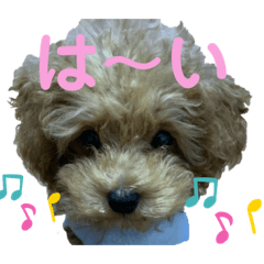 Marina_20191009203253