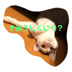 Eiko_20191009194523