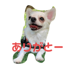 chihiro_20191009214855