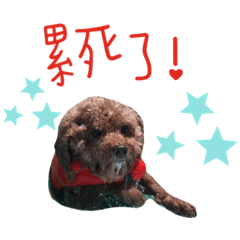 Arlin家