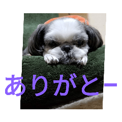 MIHO_20191009231124