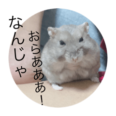 yun_20191010015312