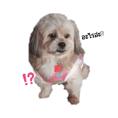 BuBu_20191009203956