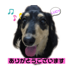 LUCY_20191010134221
